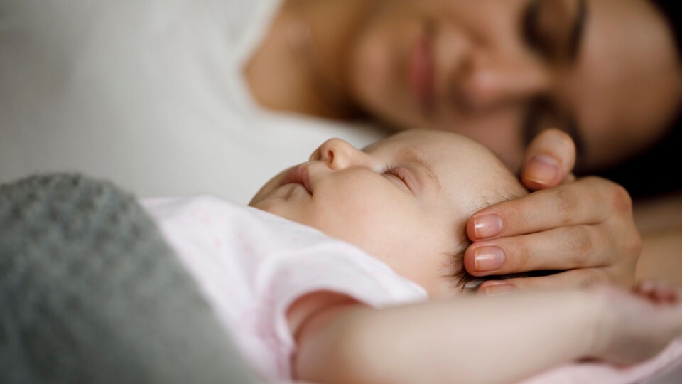 Qi Quant Regenerationsplatte